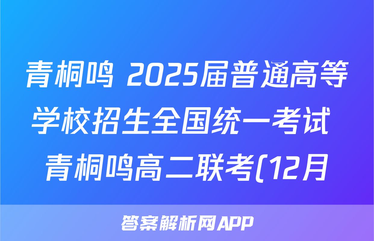 青桐鸣 2025届普通高等学校招生全国统一考试 青桐鸣高二联考(12月)物理试题